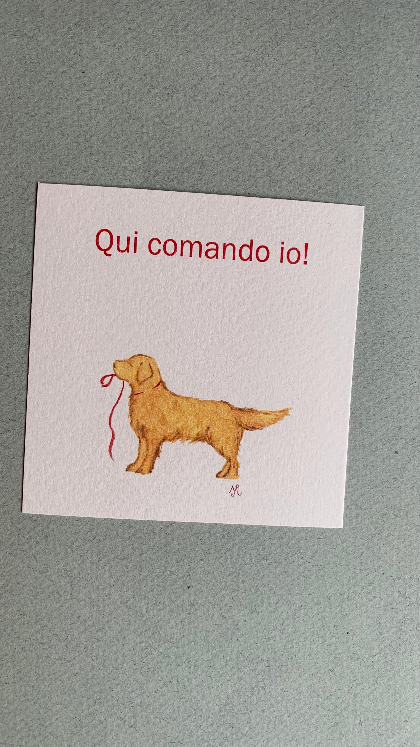 Piccola illustrazione Golden Retriever