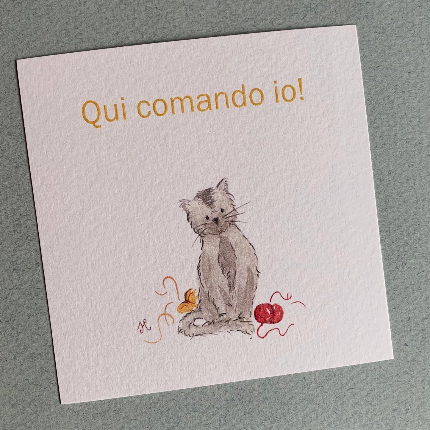 Piccola illustrazione Gattino