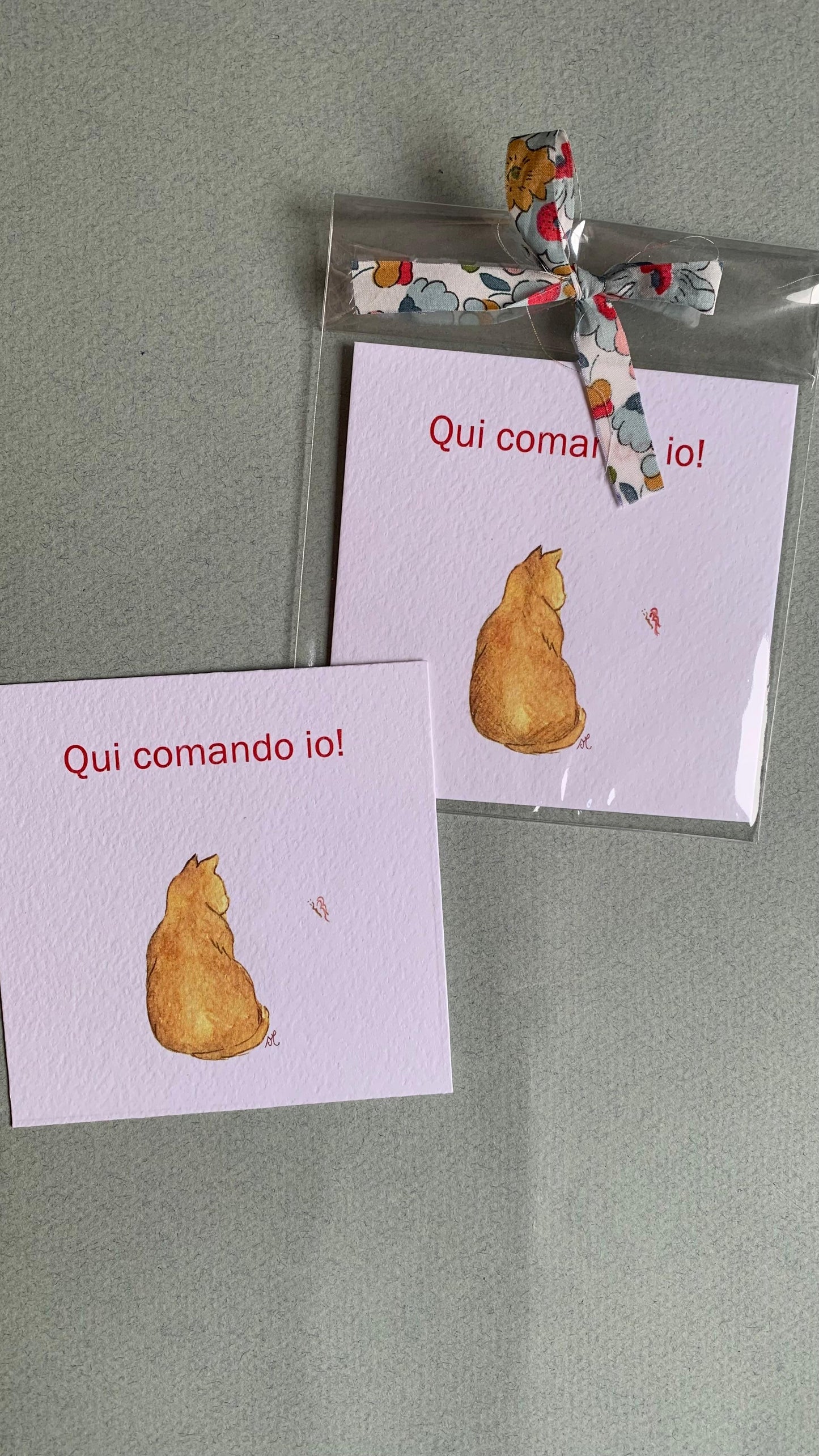 Piccola illustrazione Gatto