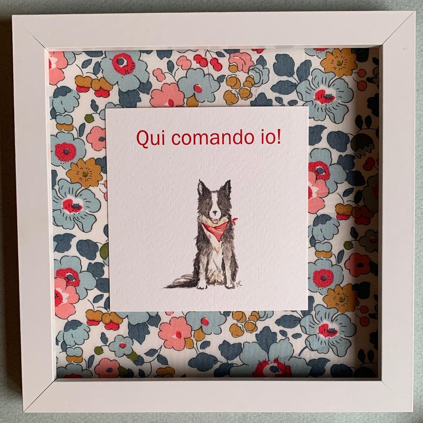 Fuoriporta Qui comando io! - Border Collie