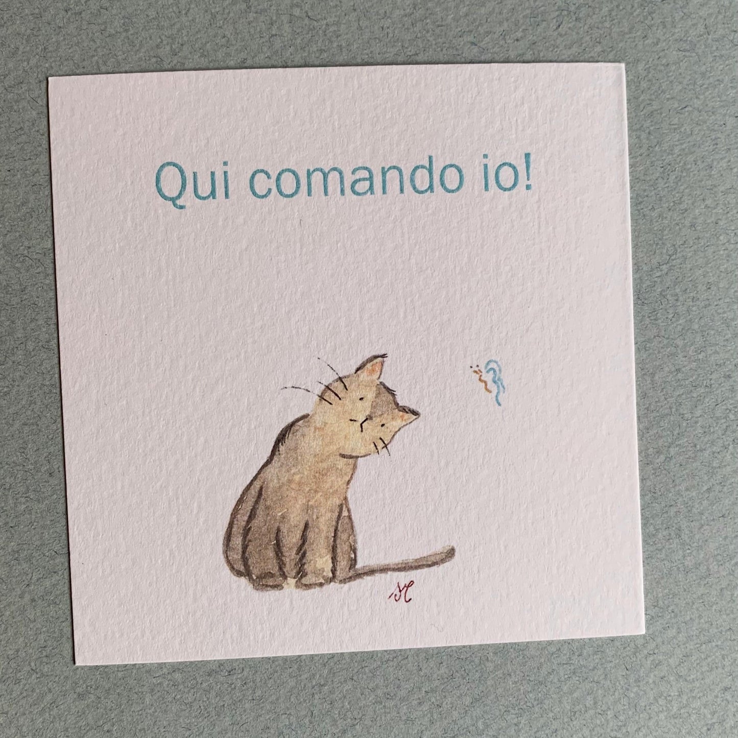 Piccola illustrazione Gattino