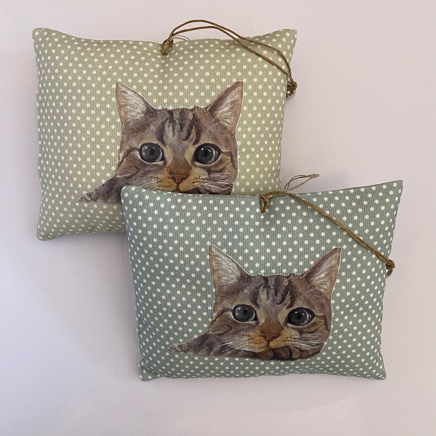Fuoriporta Gattino