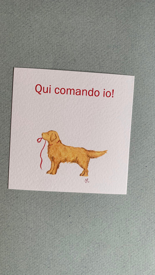Piccola illustrazione Golden Retriever