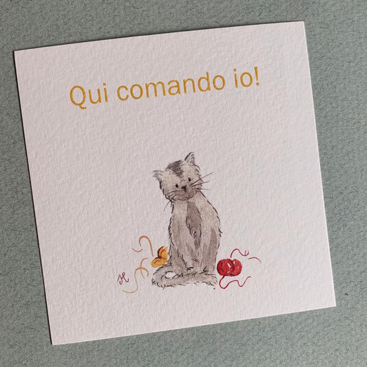 Piccola illustrazione Gattino