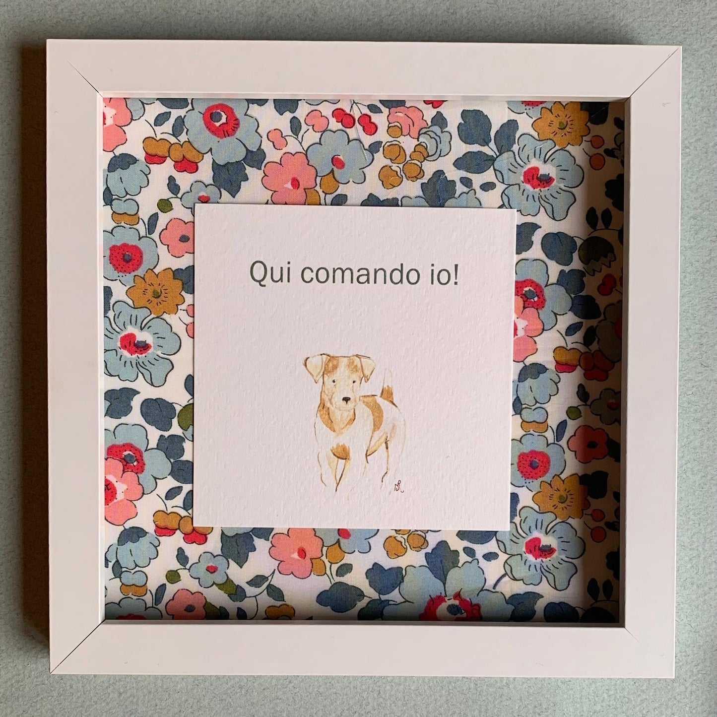Fuoriporta Qui comando io! - Jack Russell