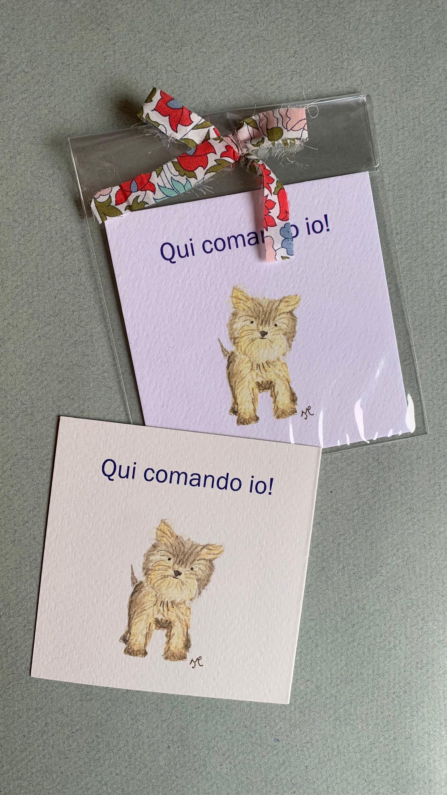 Piccola illustrazione Yorkshire Terrier