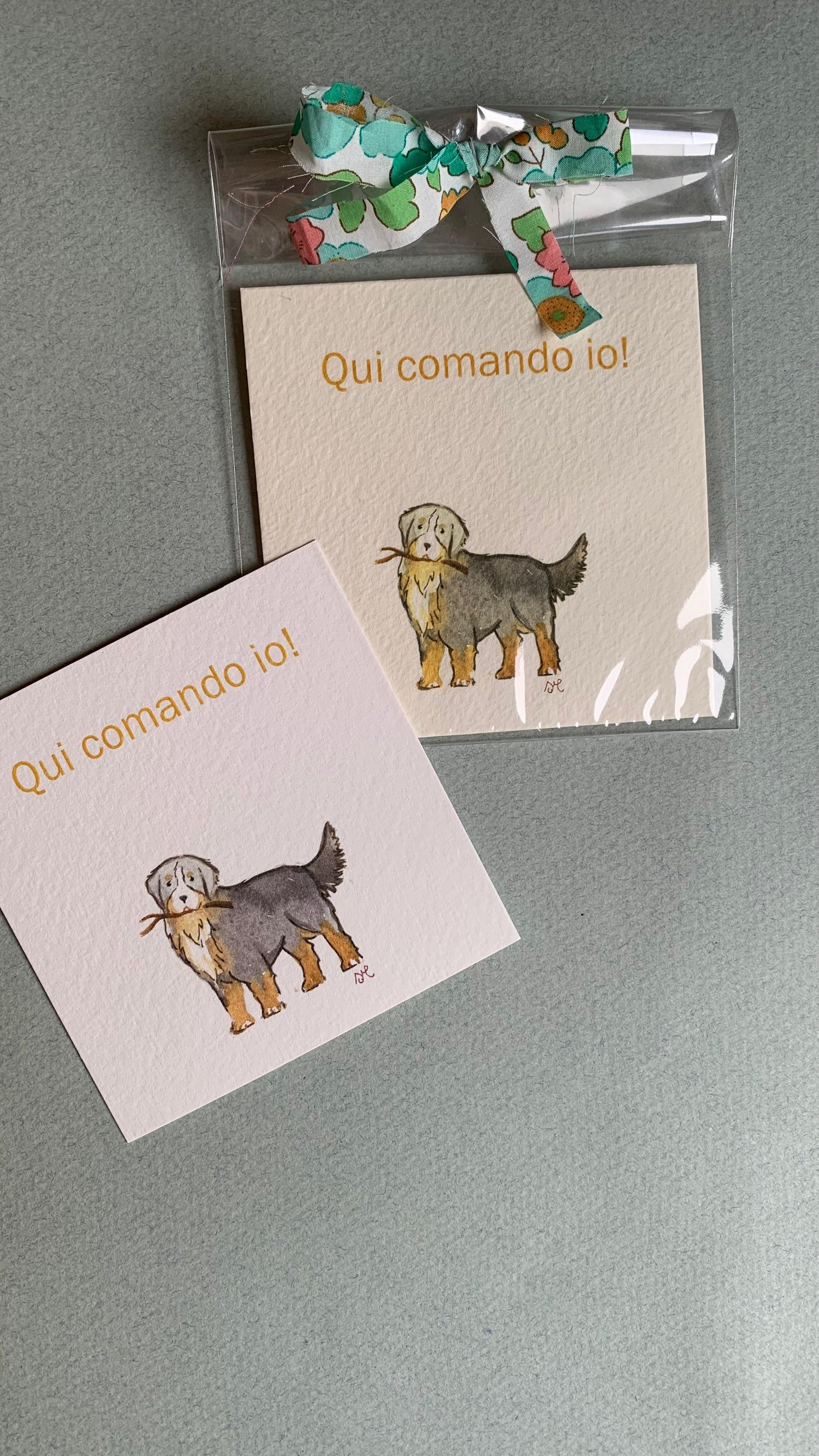 Piccola illustrazione Bovaro del Bernese