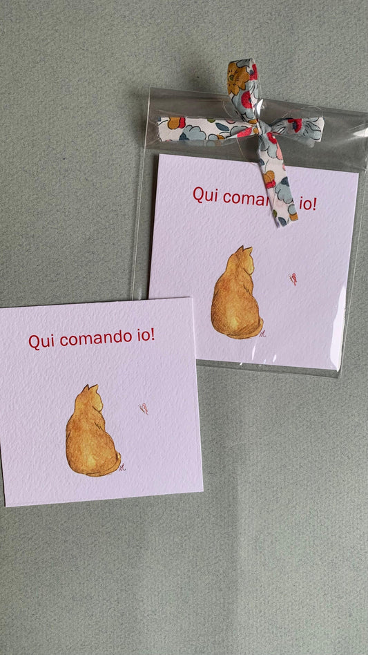 Piccola illustrazione Gatto