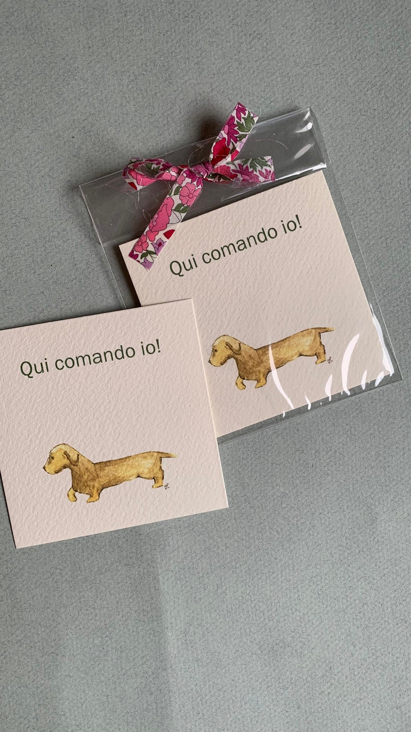 Piccola illustrazione Bassotto
