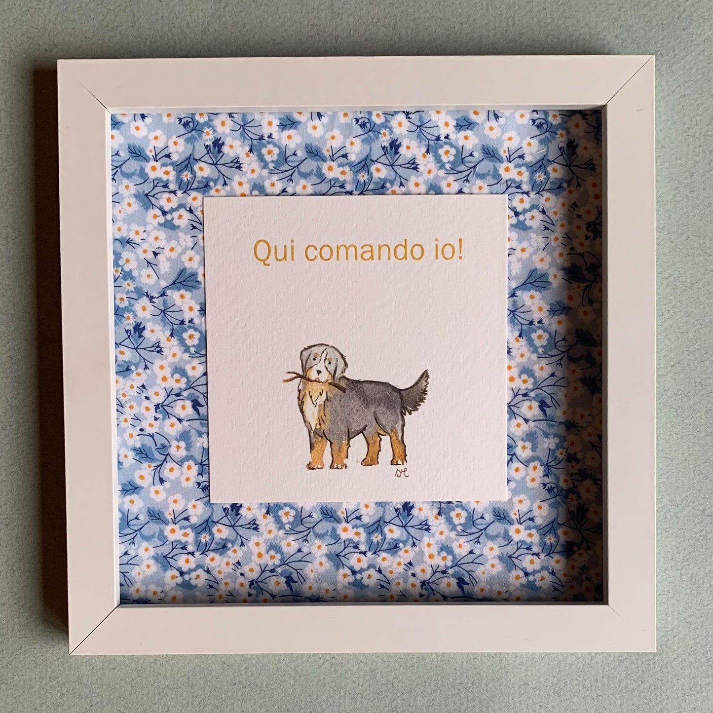 Fuoriporta Qui comando io! - Bovaro del Bernese