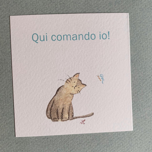 Piccola illustrazione Gattino