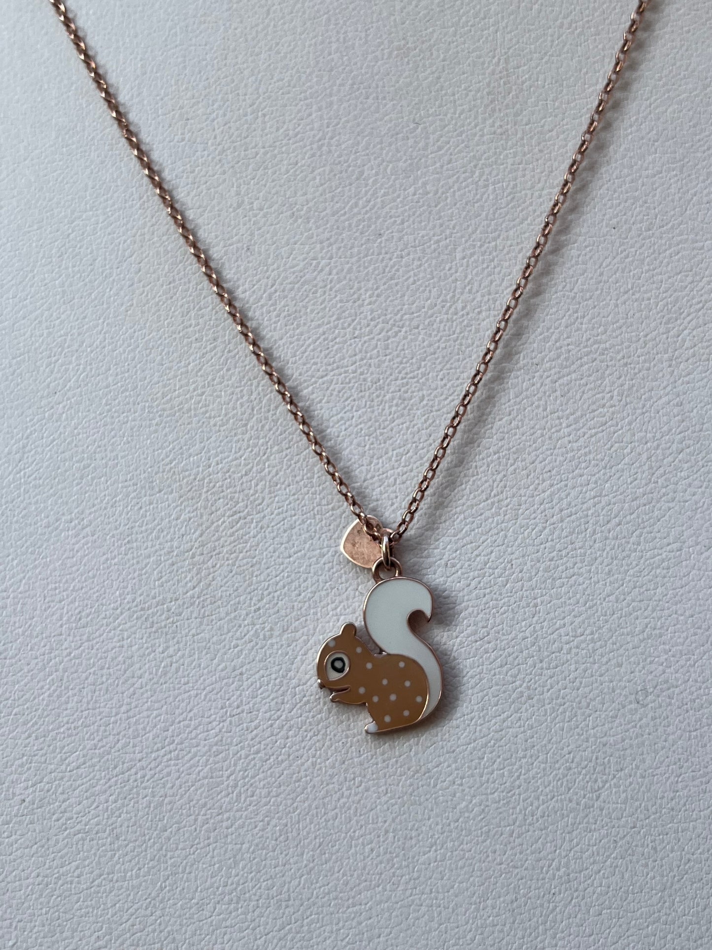 Collana Scoiattolino