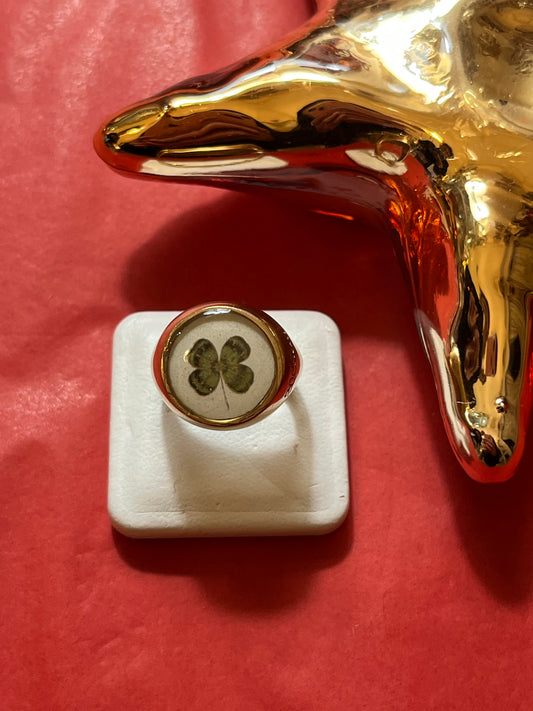 Chevalier Quadrifoglio