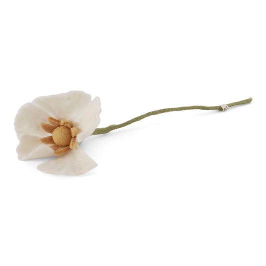 Papavero Bianco