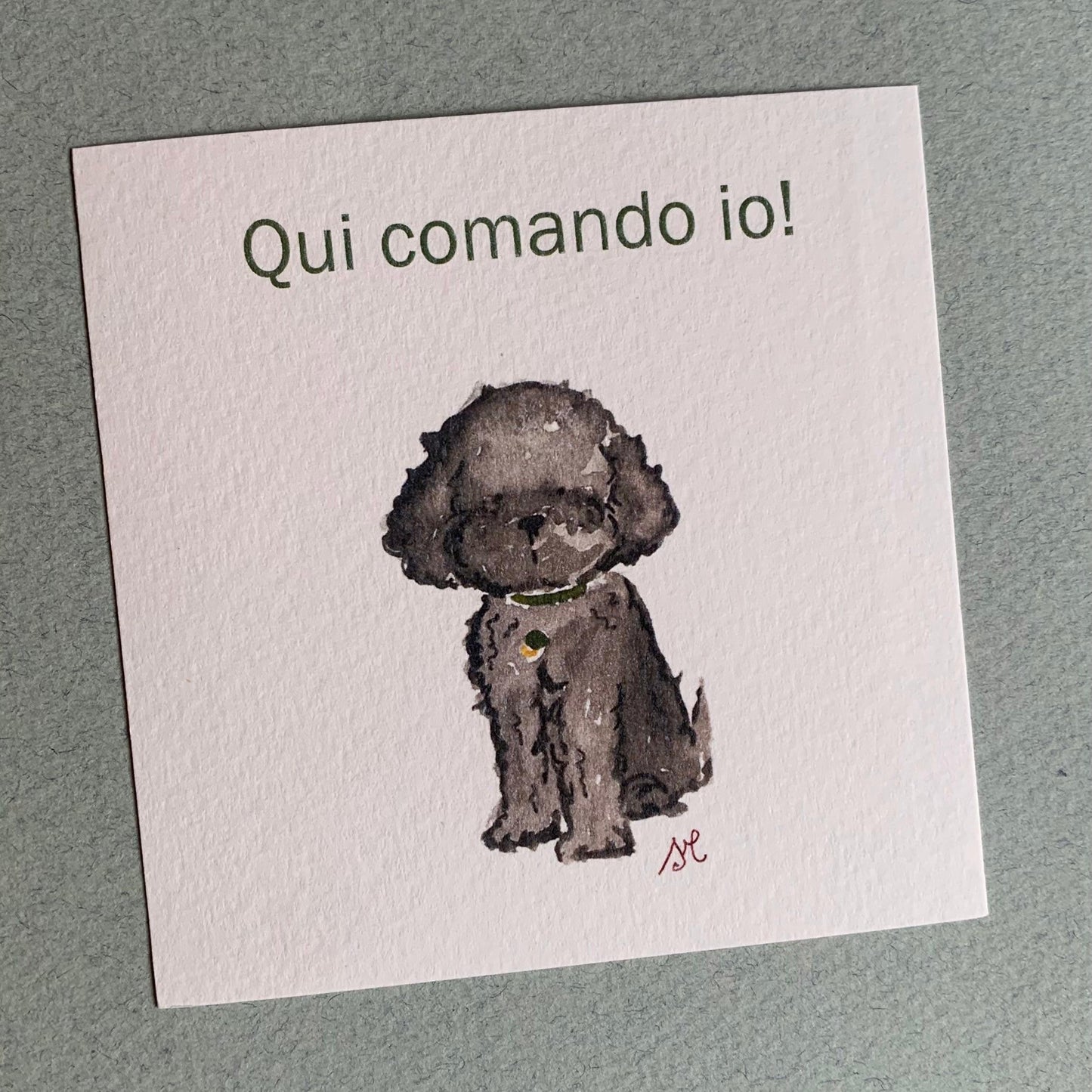 Piccola illustrazione Barboncino