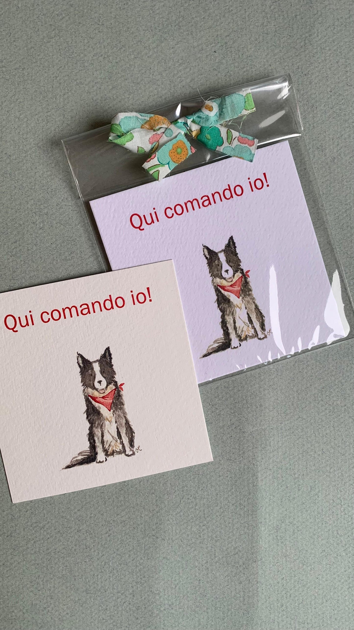 Piccola illustrazione Border Collie