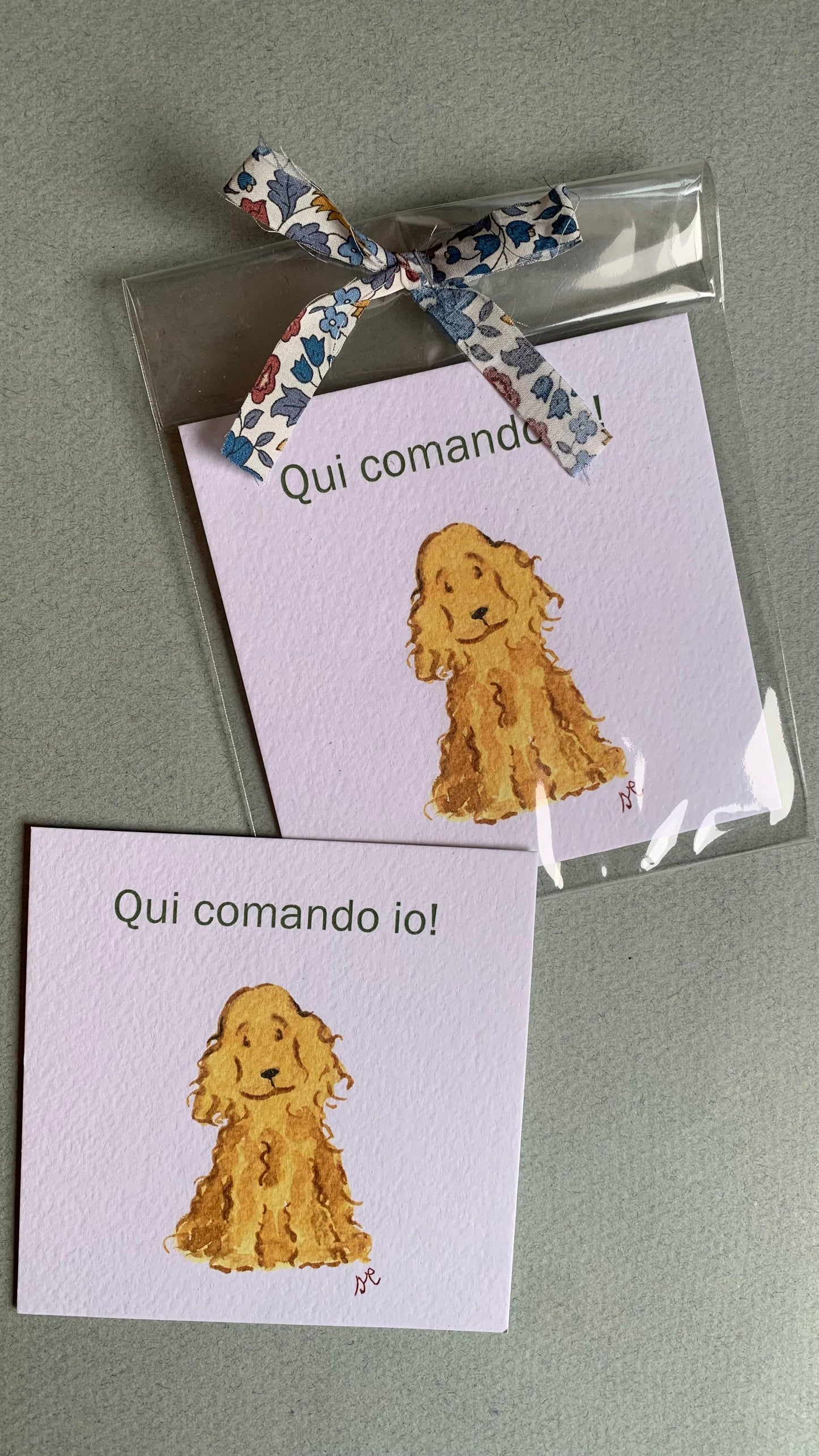 Piccola illustrazione Cocker Spaniel