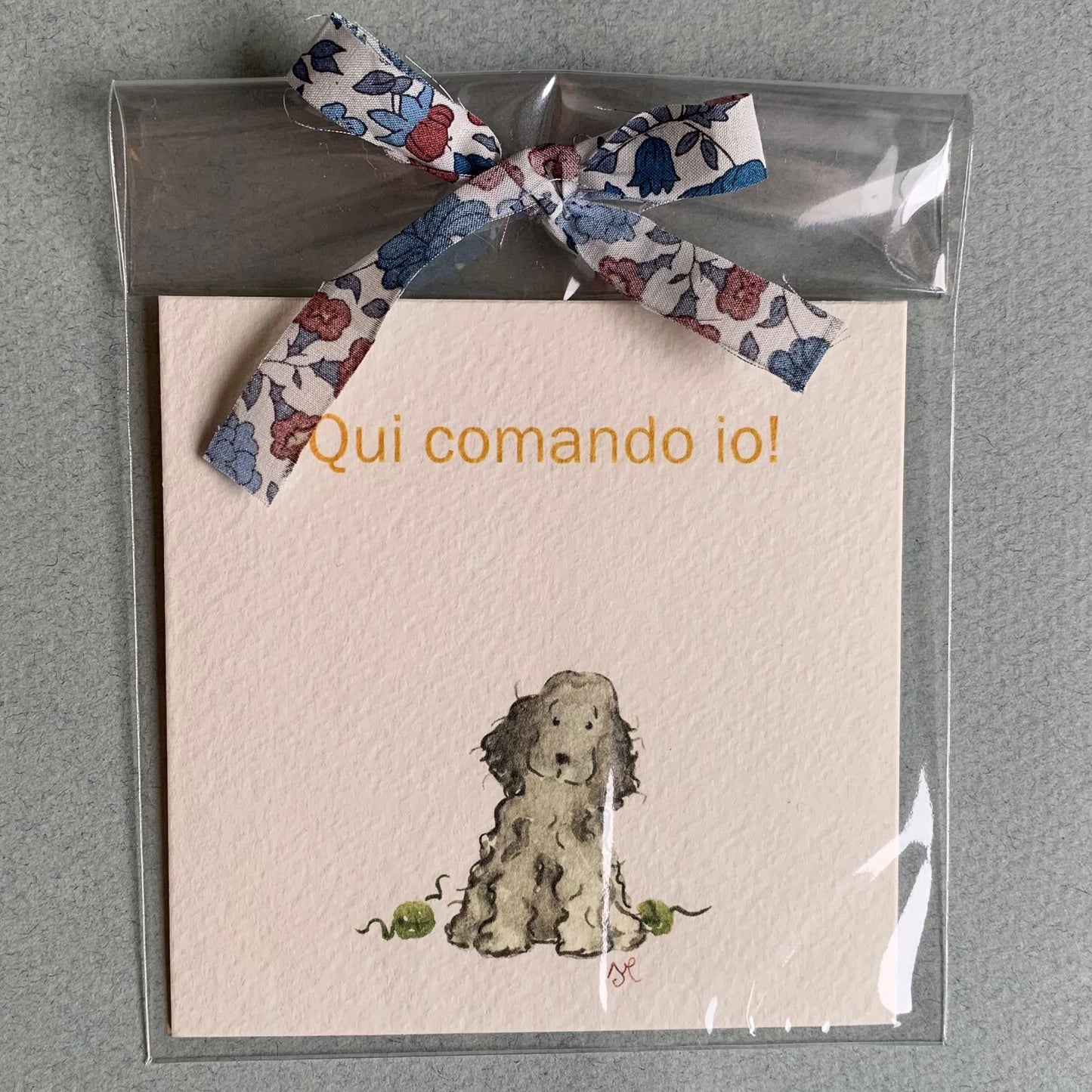 Piccola illustrazione Cocker Spaniel