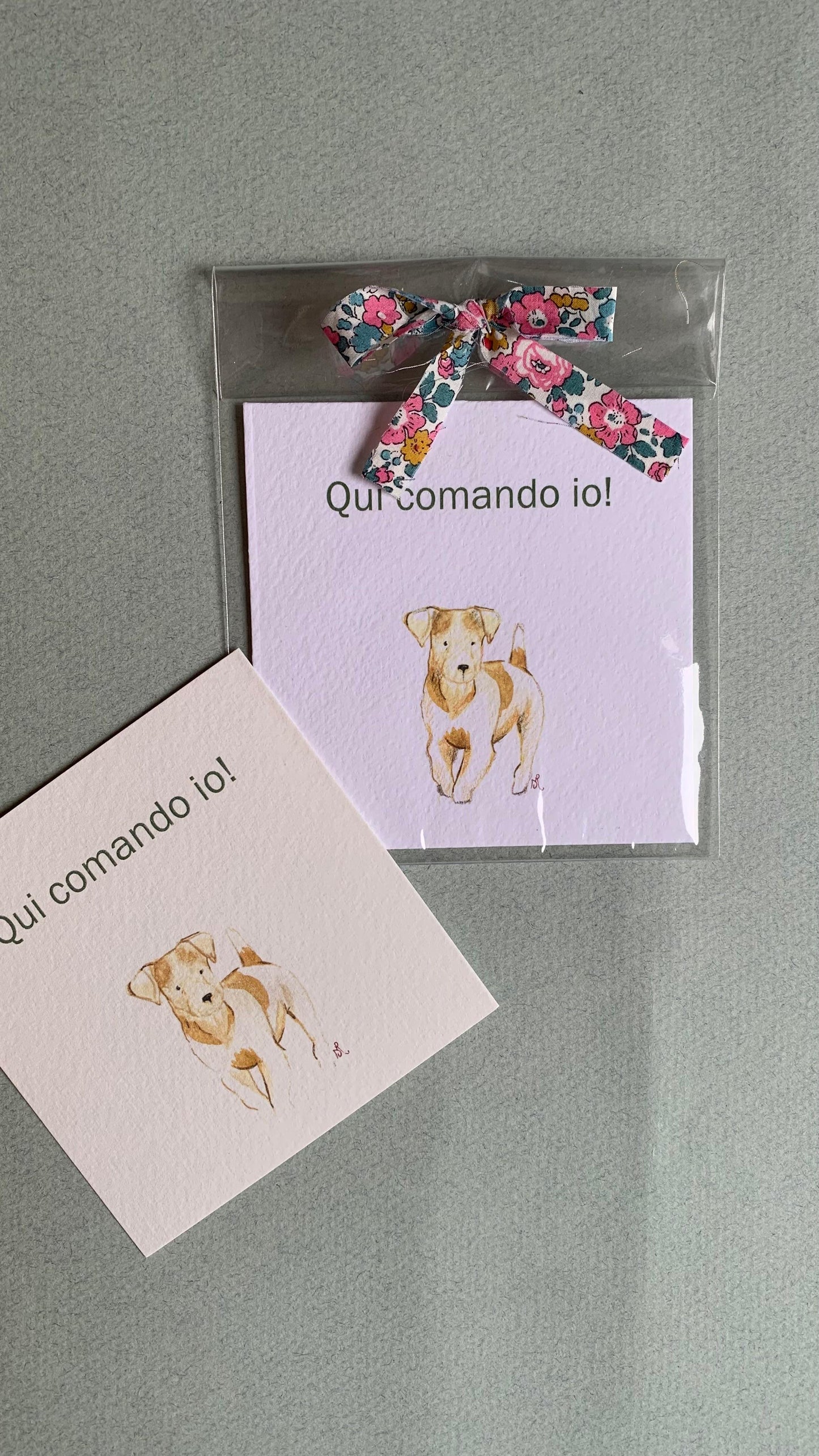 Piccola illustrazione Jack Russell